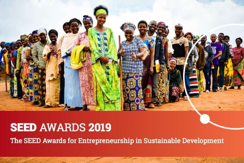 SEED Awards 2019